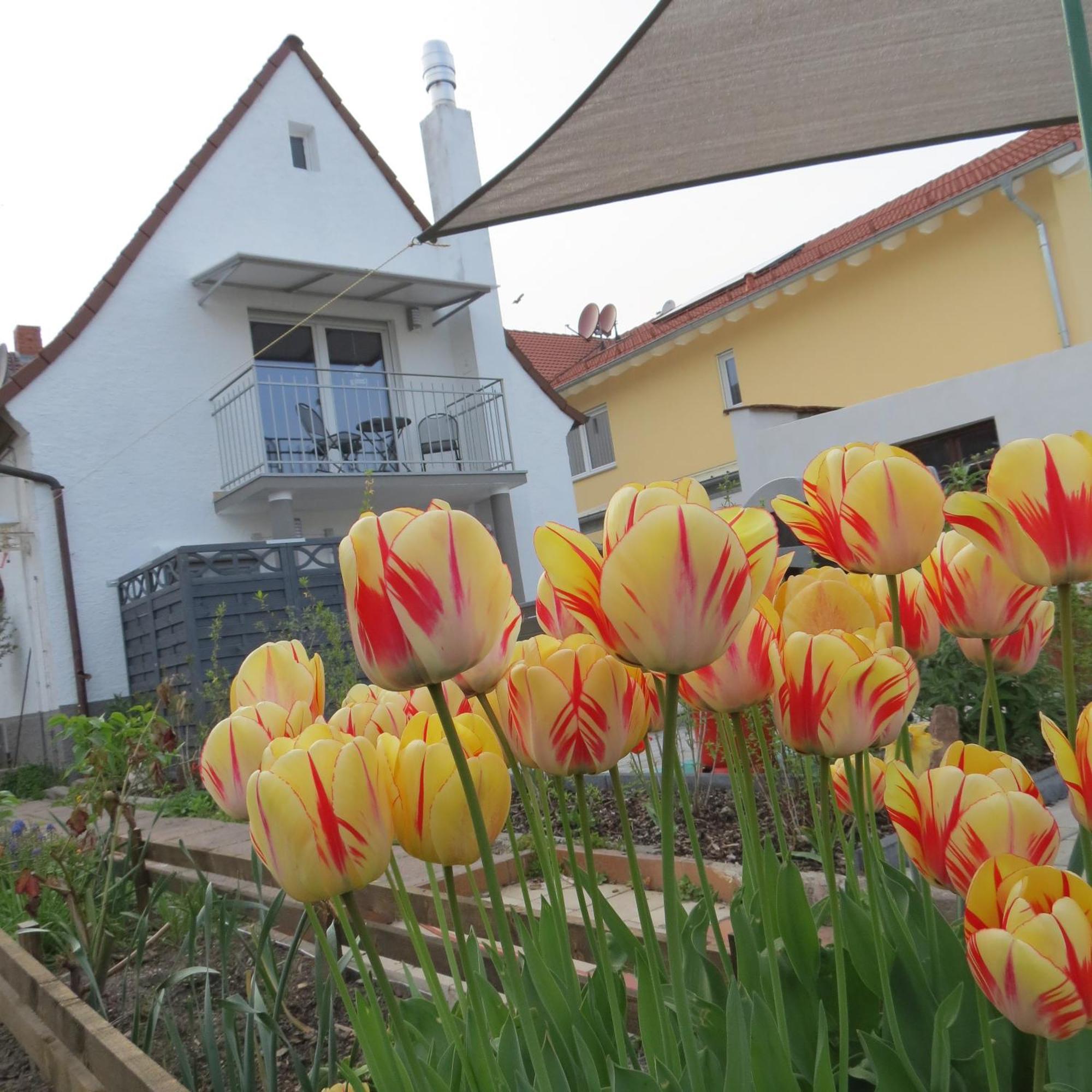 Spira House Apartment Bagian luar foto