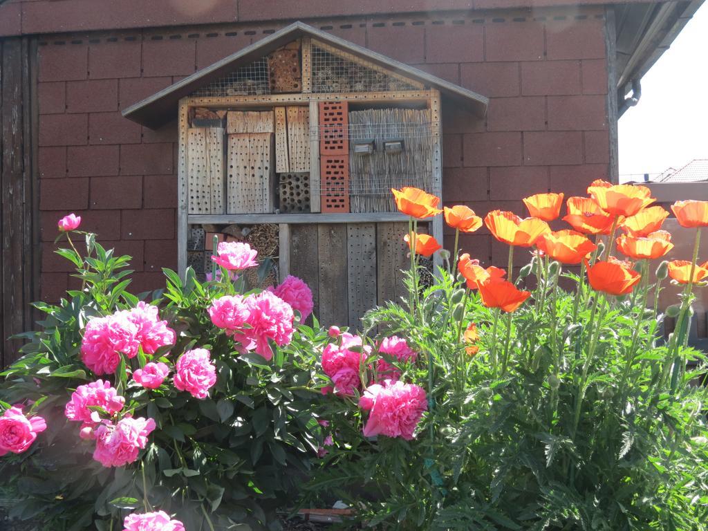 Spira House Apartment Bagian luar foto